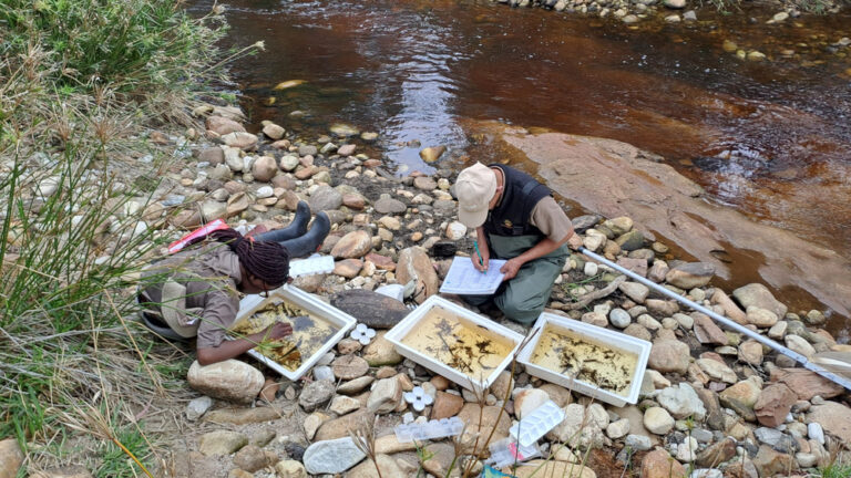 Nelisiwe Khusi: River Health Monitoring Programme within the Gouritz Cluster Biosphere Reserve (GCBR) Region