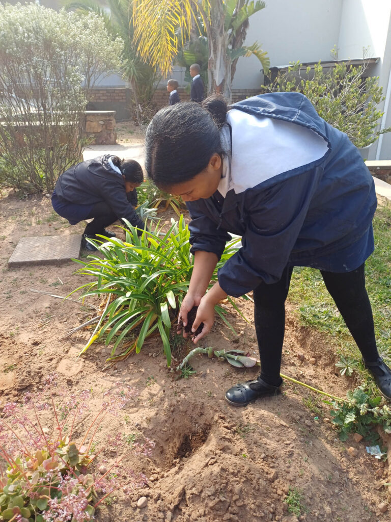 Albertinia Arbor Week