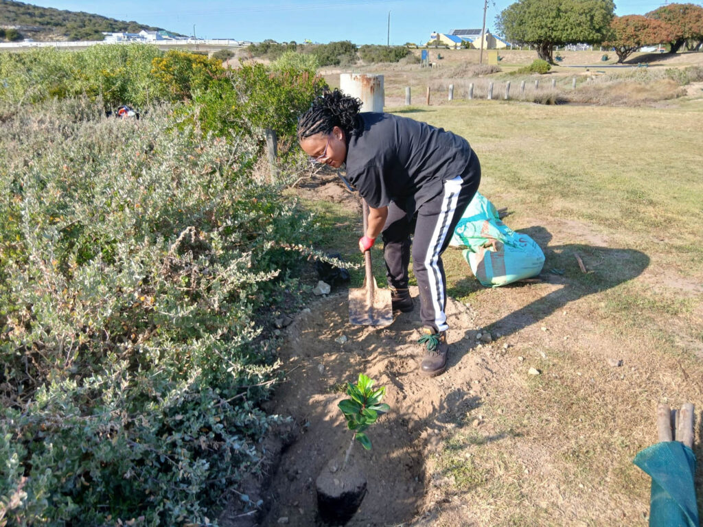 Stilbaai Arbor Week
