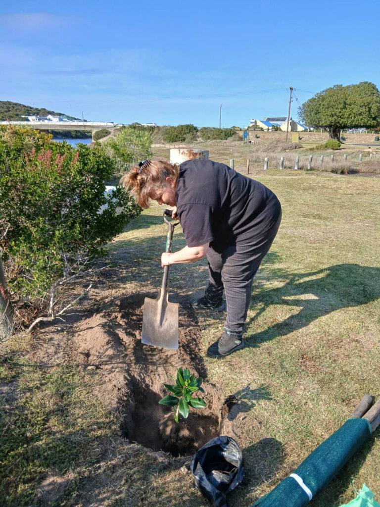 Stilbaai Arbor Week
