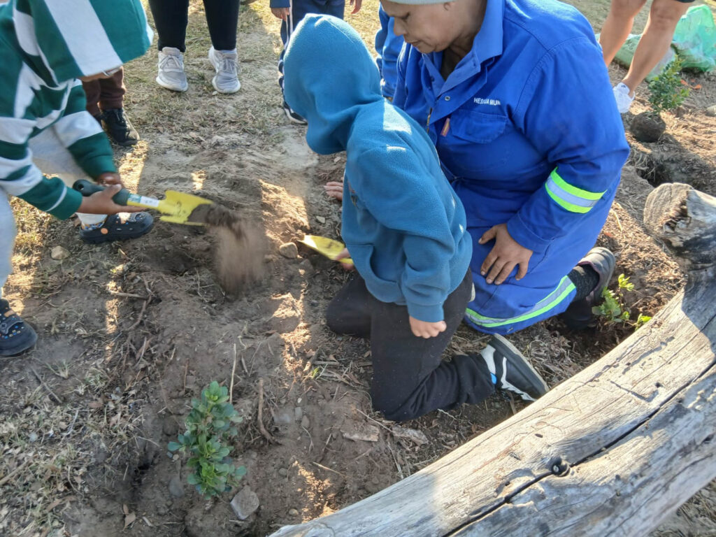 Stilbaai Arbor Week
