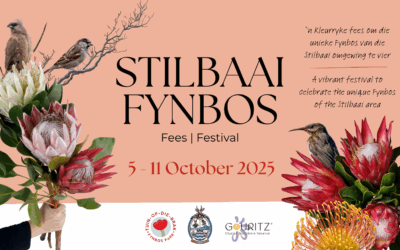 Stilbaai Fynbos Festival