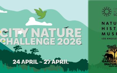 iNaturalist Garden Route City Nature Challenge