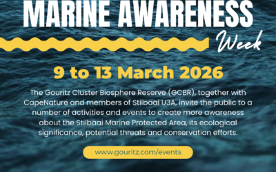 STILBAAI MARINE AWARENESS WEEK