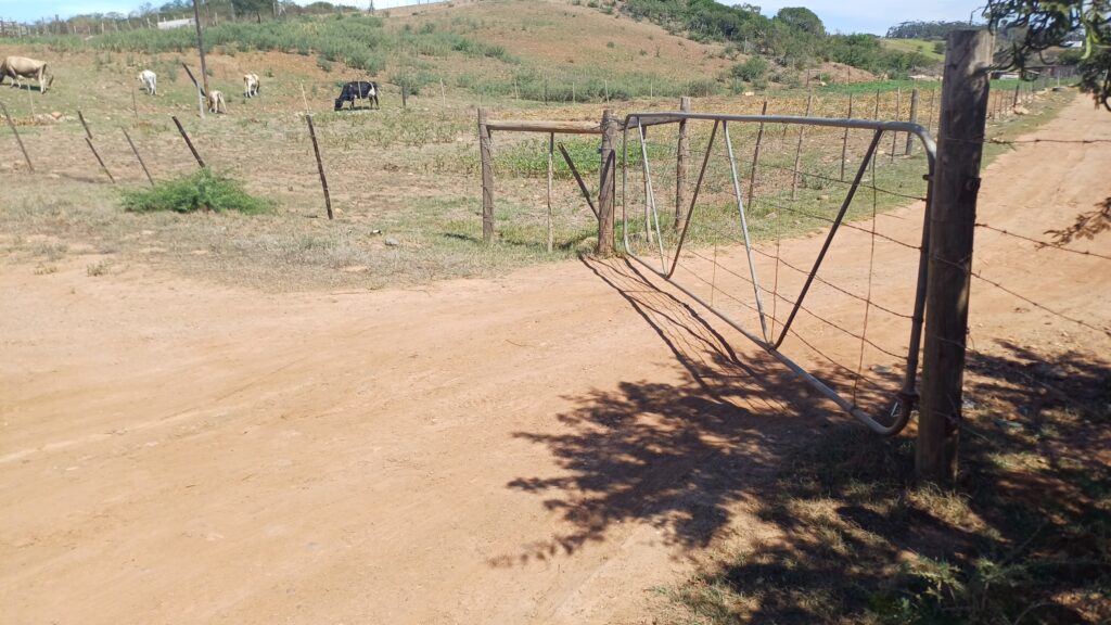Act Early, Protect More: Understanding Foot and Mouth Disease