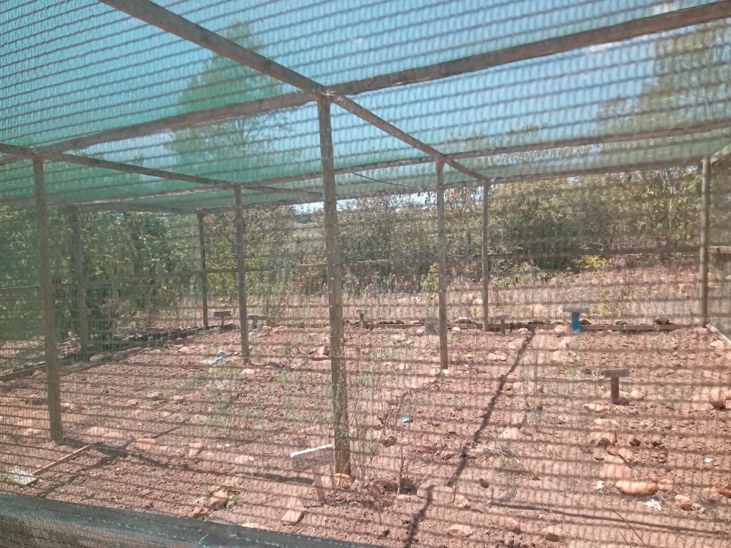 Vegetable garden before planting