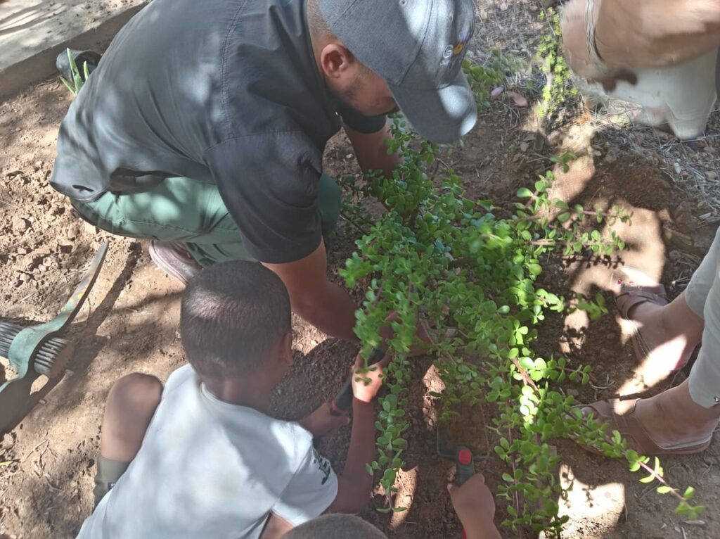 World Planting Day