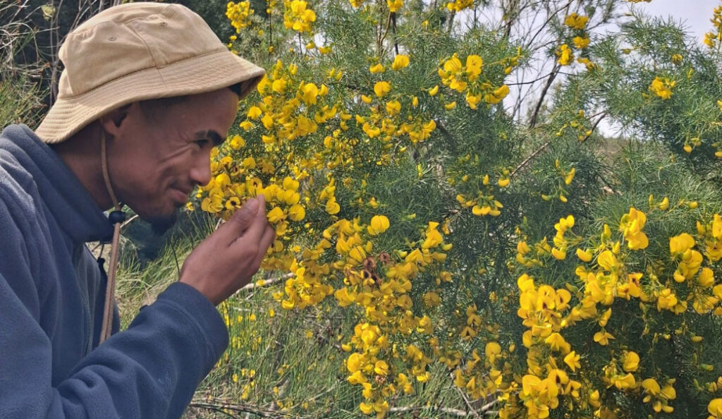 Restoring the Bergfontein Wetland