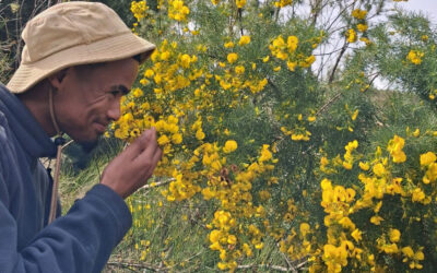 Restoring the Bergfontein Wetland: Progress and Next Steps