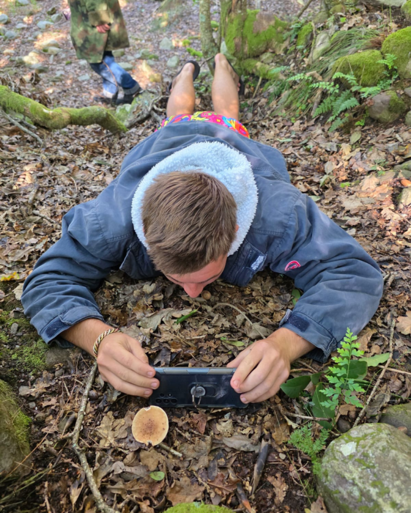 iNaturalist Cape City Nature Challenge