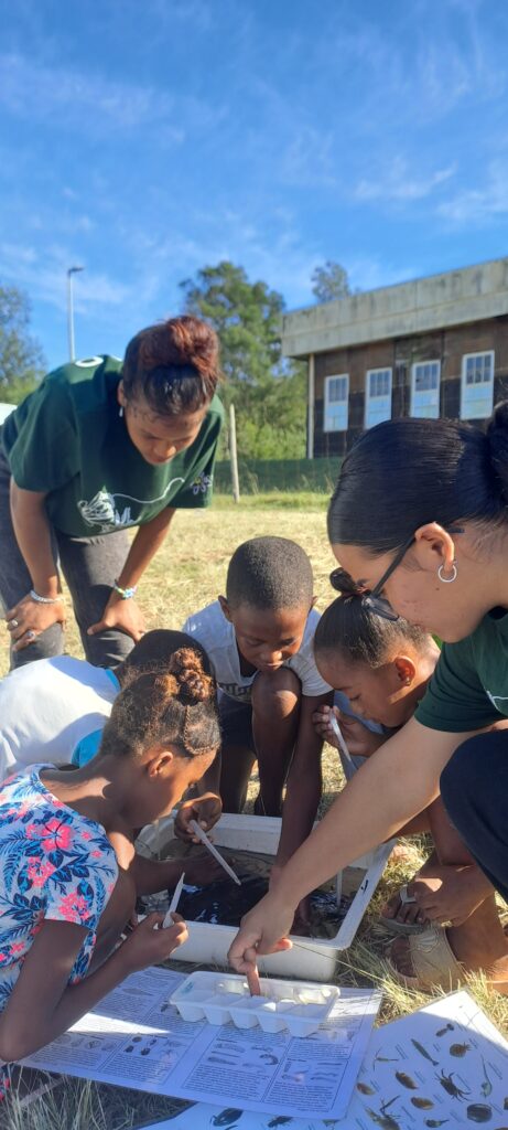 MAB Youth Freshwater Monitoring: Building Skills Through Citizen Science