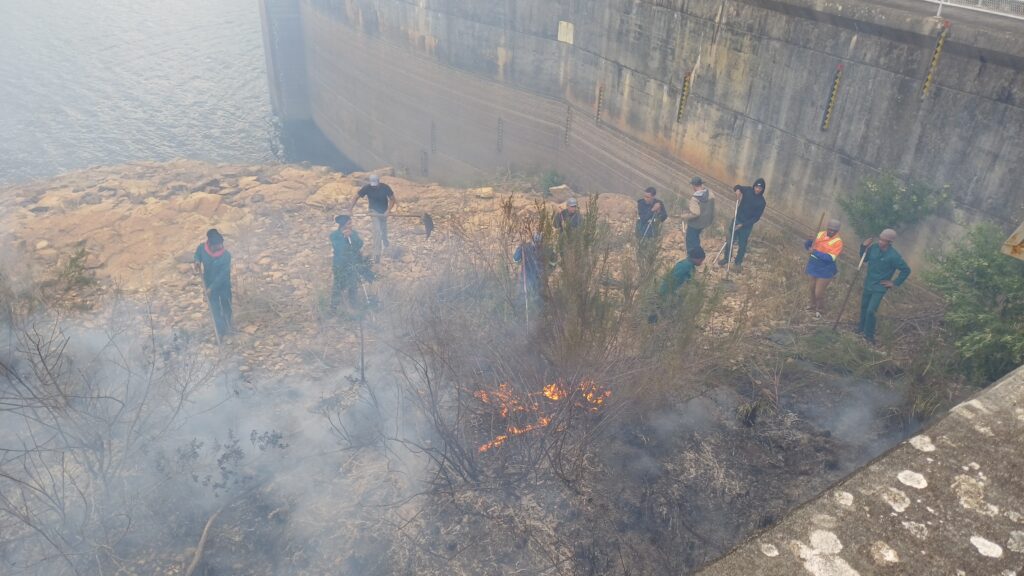 Learning to Fight Fire, Together: Two Days with fire expert, Louis Van Dyk