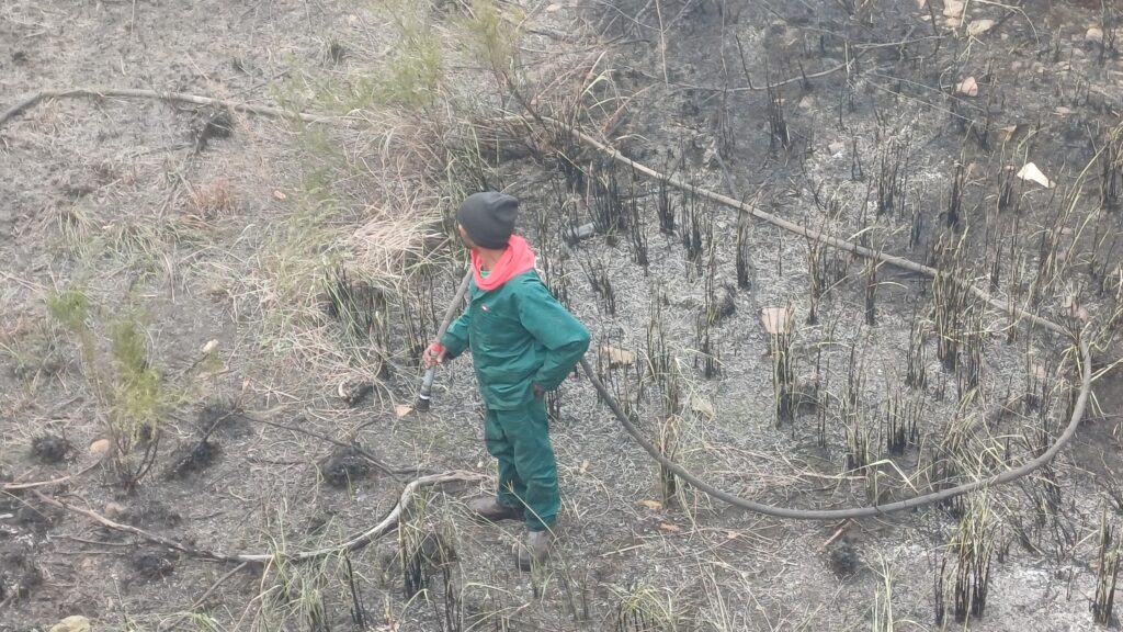 Learning to Fight Fire, Together: Two Days with fire expert, Louis Van Dyk