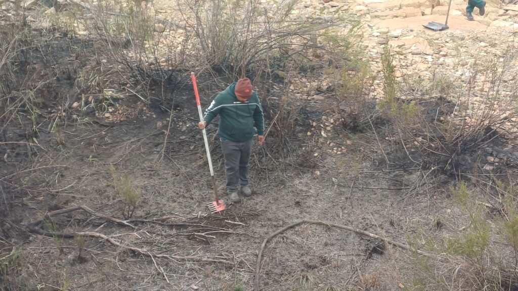 Learning to Fight Fire, Together: Two Days with fire expert, Louis Van Dyk