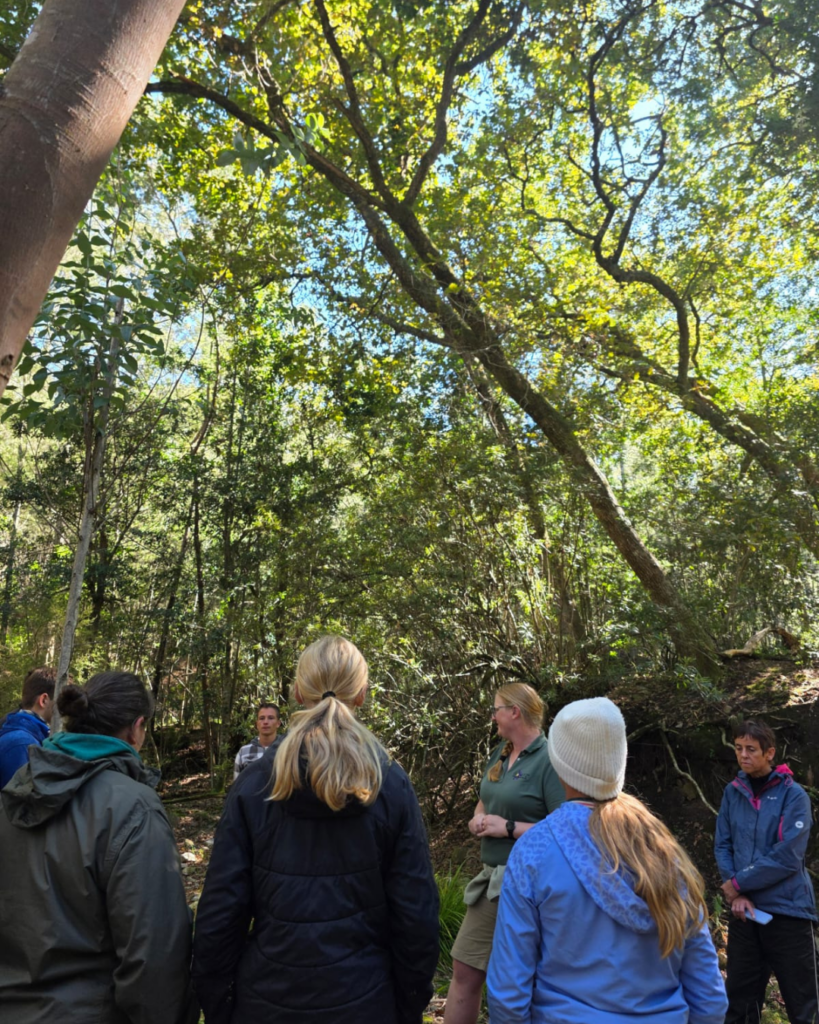 iNaturalist Cape City Nature Challenge