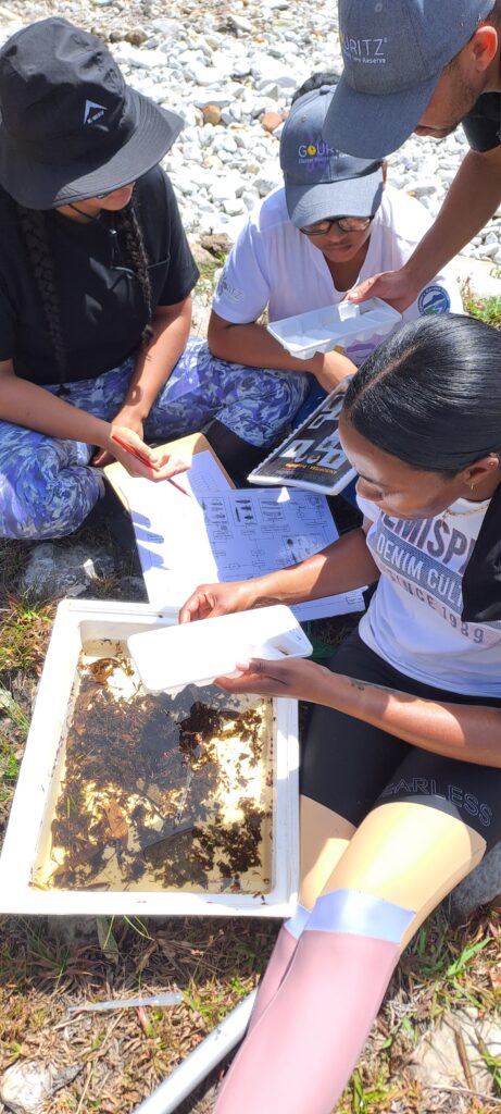 MAB Youth Freshwater Monitoring: Building Skills Through Citizen Science