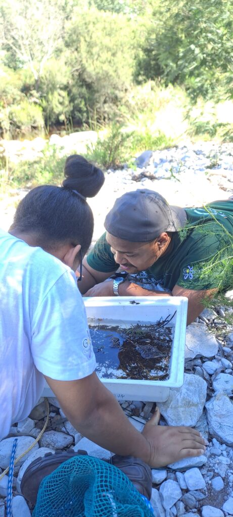 MAB Youth Freshwater Monitoring: Building Skills Through Citizen Science