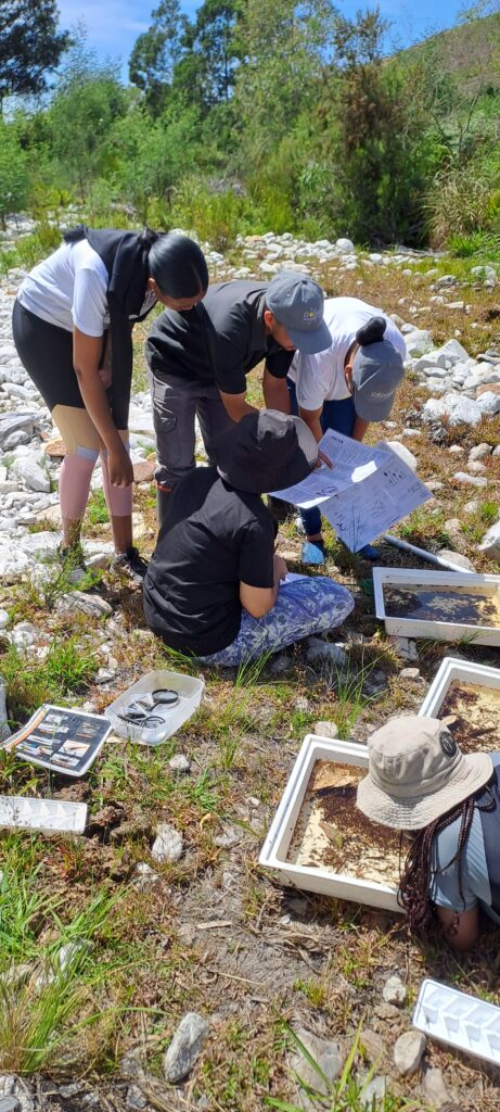 MAB Youth Freshwater Monitoring: Building Skills Through Citizen Science