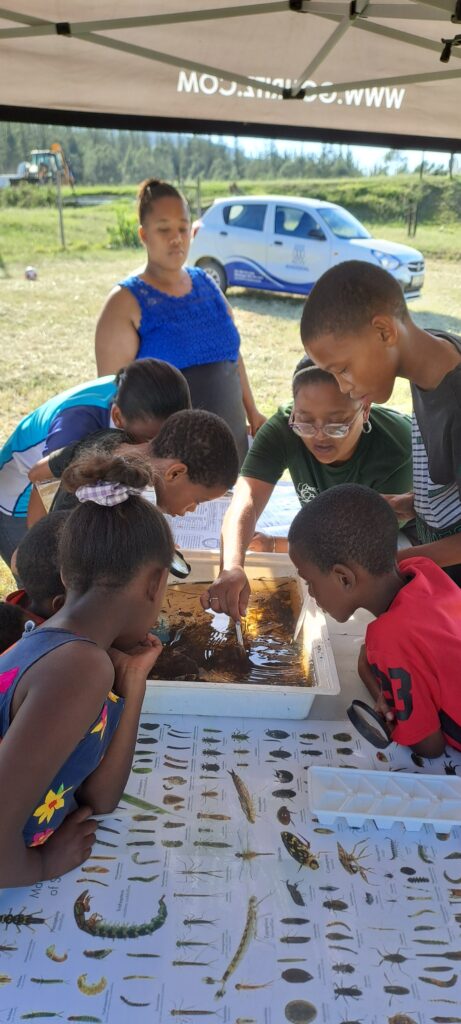 MAB Youth Freshwater Monitoring: Building Skills Through Citizen Science