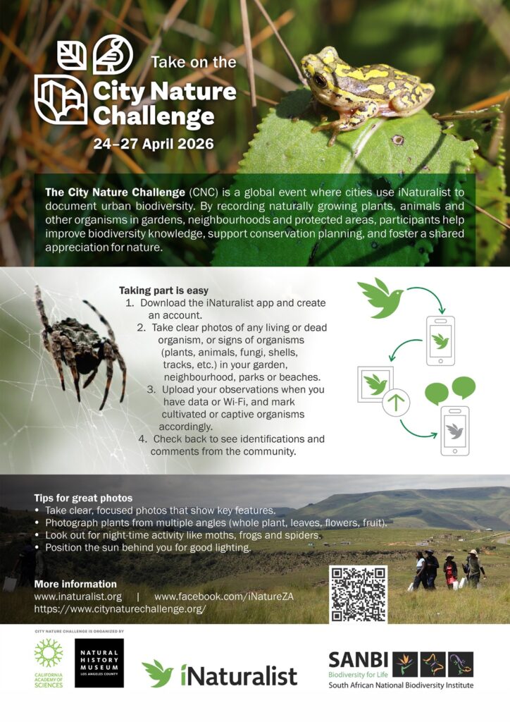 iNaturalist Cape City Nature Challenge