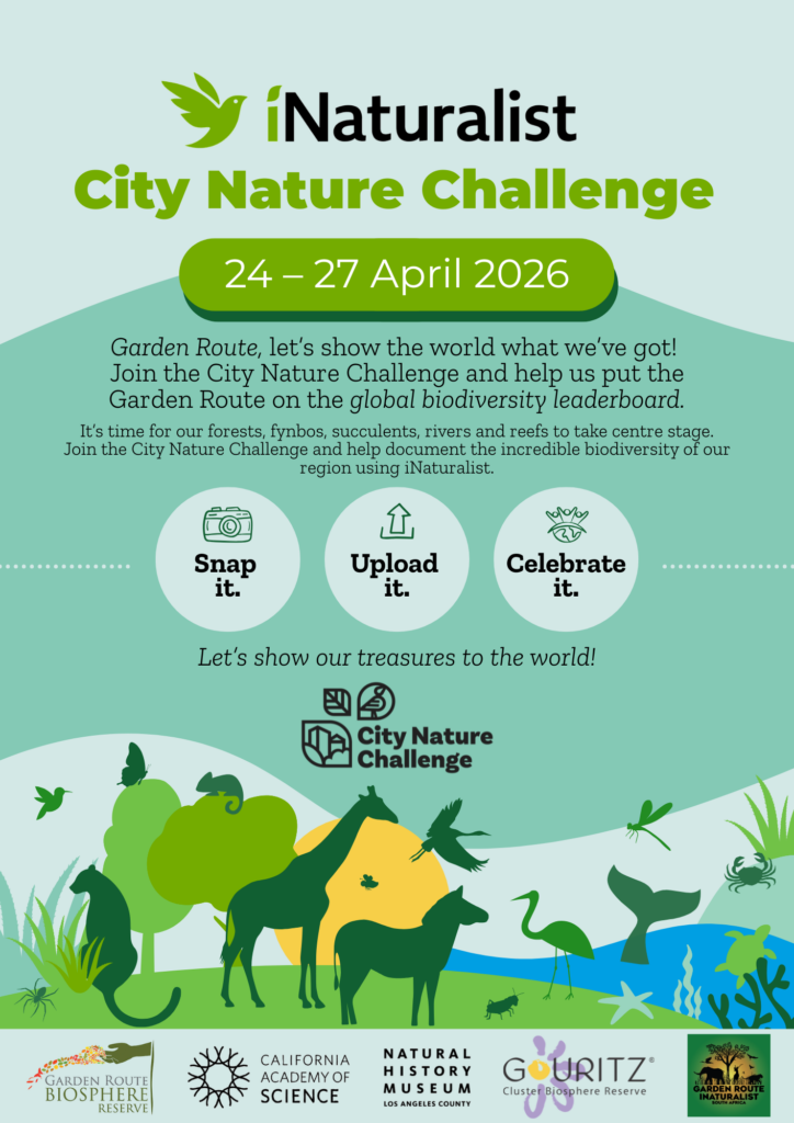 iNaturalist Cape City Nature Challenge