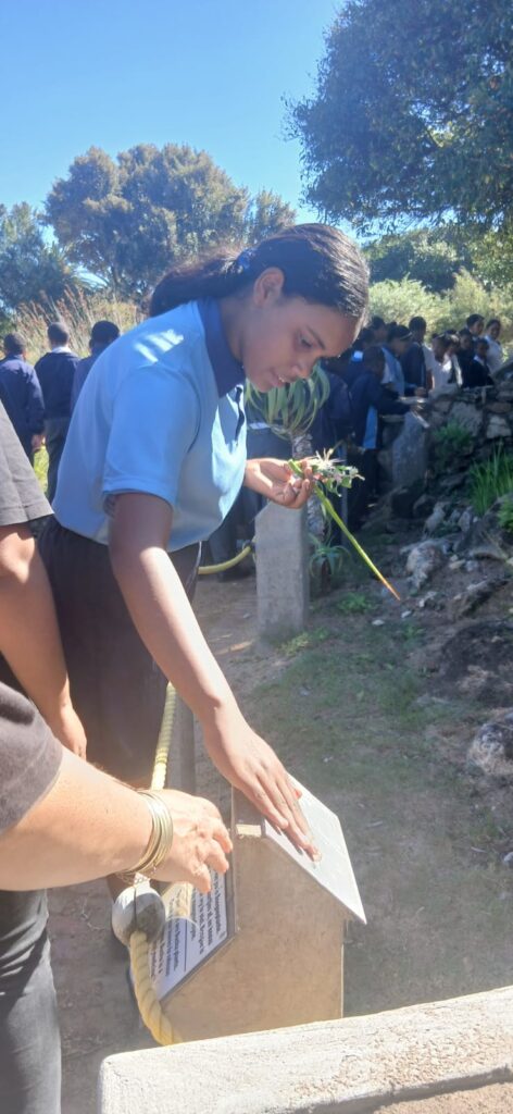Melkhoutfontein Primary International Plant Appreciation Day