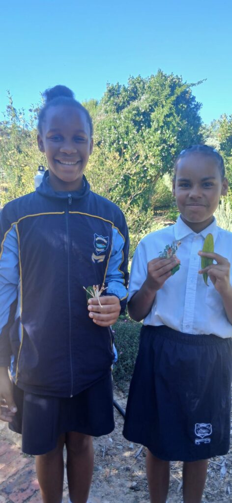 Melkhoutfontein Primary International Plant Appreciation Day