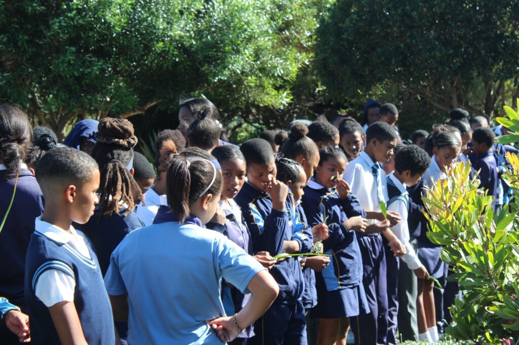Melkhoutfontein Primary International Plant Appreciation Day