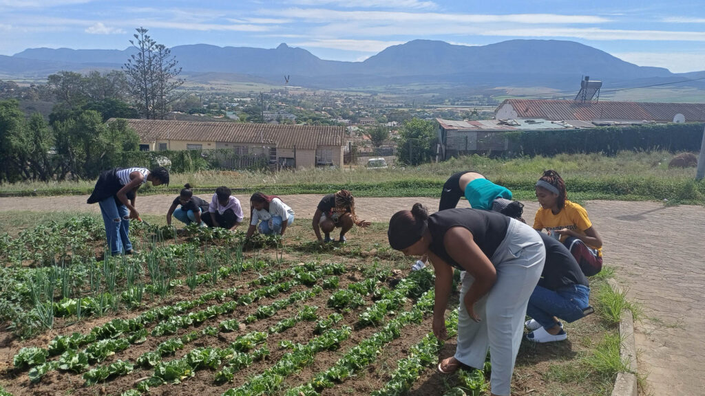 Growing Together: Our One TVET One Garden Experience at Riversdale Campus