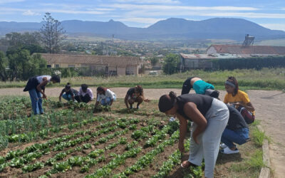 Growing Together: Our One TVET One Garden Experience at Riversdale Campus