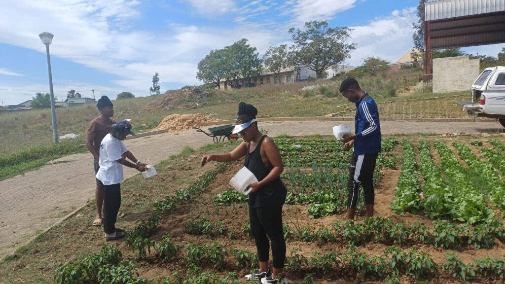 Growing Together: Our One TVET One Garden Experience at Riversdale Campus