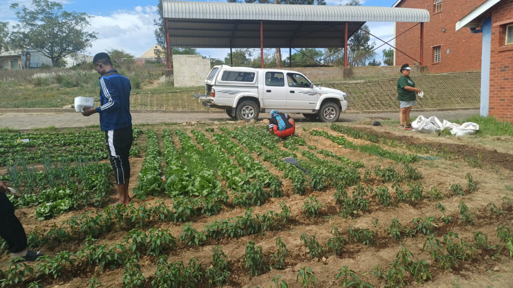Growing Together: Our One TVET One Garden Experience at Riversdale Campus