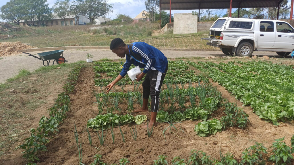 Growing Together: Our One TVET One Garden Experience at Riversdale Campus