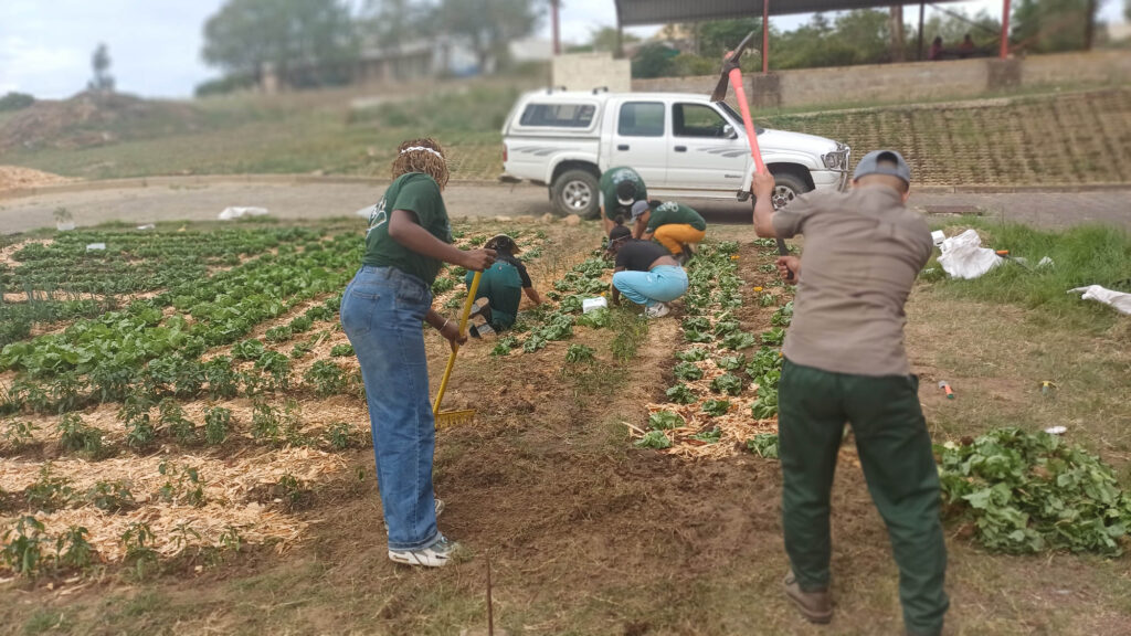Growing Together: Our One TVET One Garden Experience at Riversdale Campus