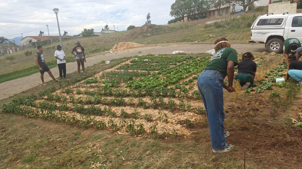 Growing Together: Our One TVET One Garden Experience at Riversdale Campus