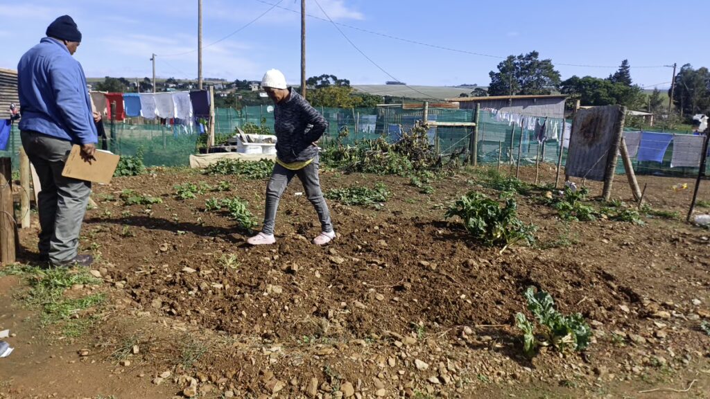 Backyard Garden Farmers