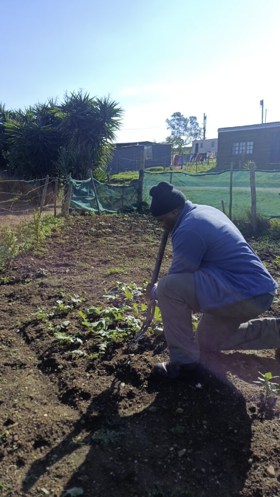 Backyard Garden Farmers