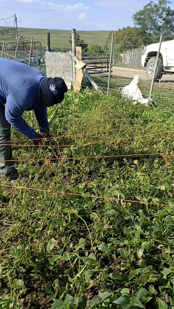 Backyard Garden Farmers