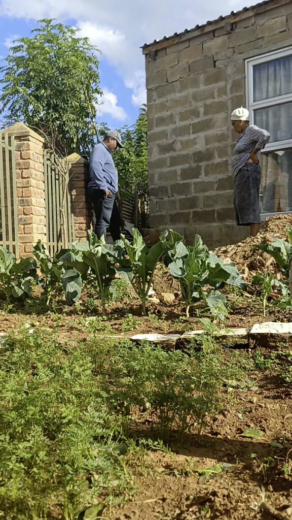 Backyard Garden Farmers