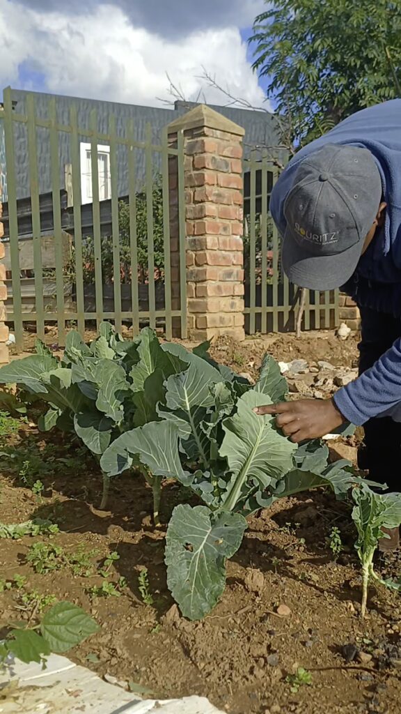 Backyard Garden Farmers