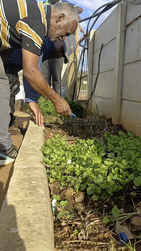 Backyard Garden Farmers