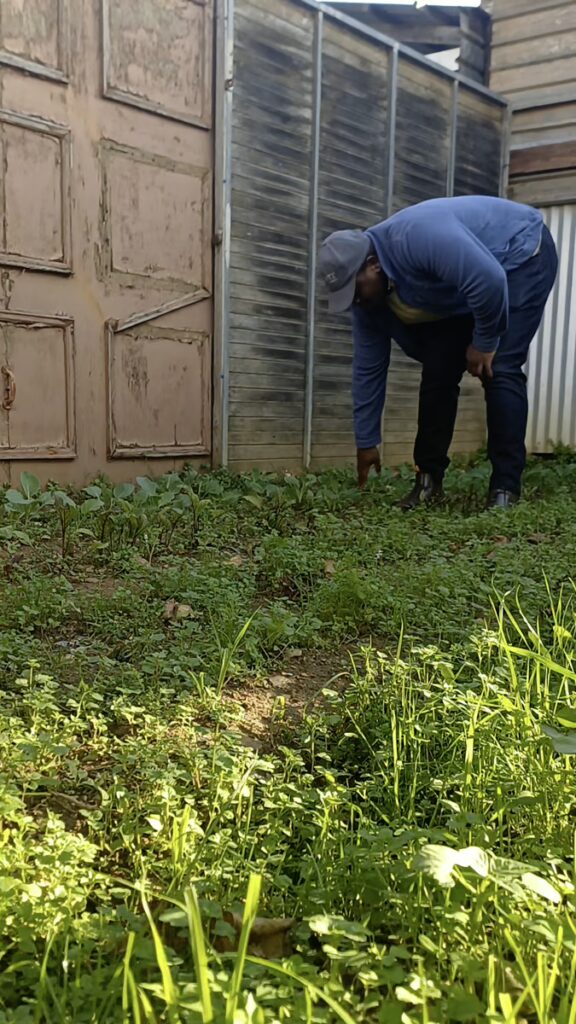 Backyard Garden Farmers