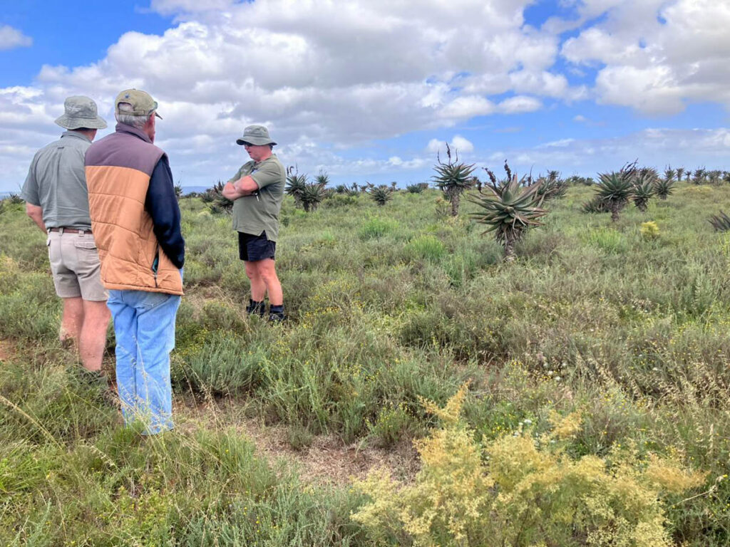 Landowners should identify and manage areas for restoration that is not actively being cultivated anymore