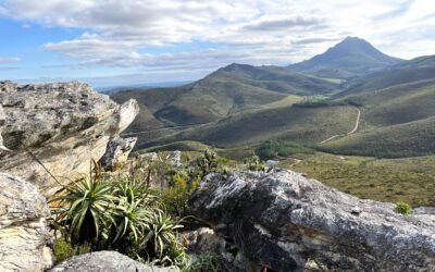 Biodiversity Stewardship: An Opportunity for Southern Cape Landowners