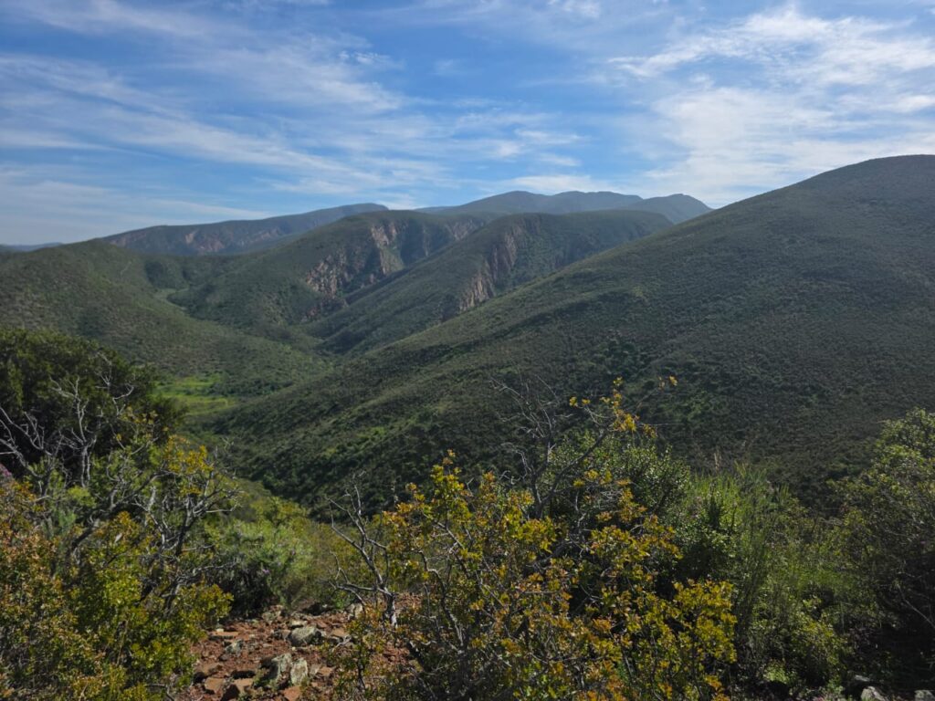 Biodiversity Stewardship