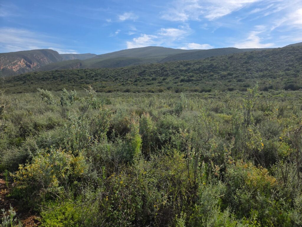 Biodiversity Stewardship