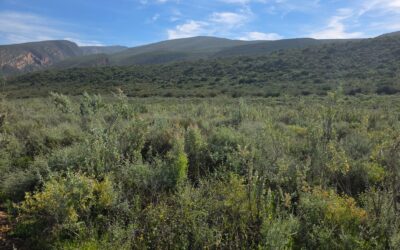 Protecting Biodiversity Through Partnerships with Landowners